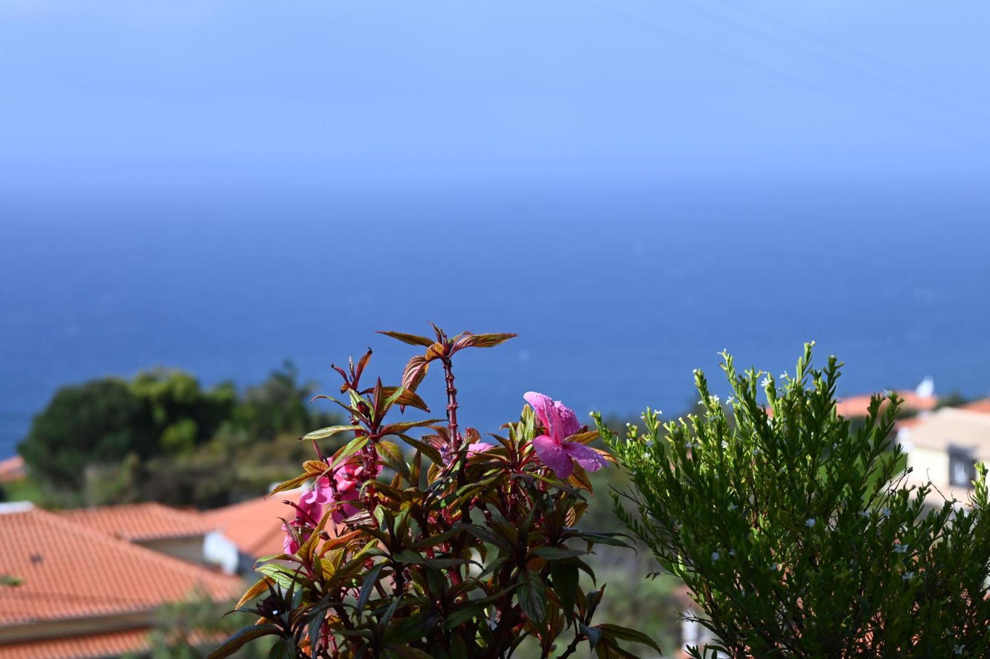 Vista Romantica Madeira Arco da Calheta  Exterior foto